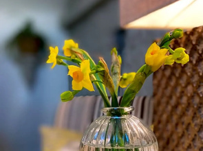 The Loft in the Malt Barn Chipping Campden