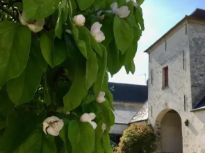 La Cour Lalouette