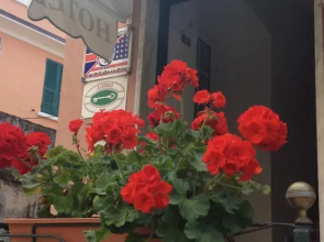 Hotel Garden 2