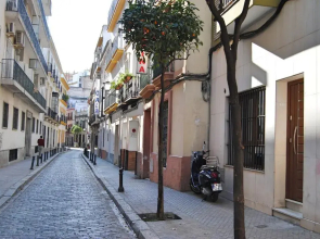 Tourist House Gravina