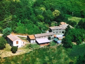 Bottega di Montegiovi