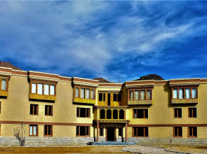 The Driftwood Ladakh