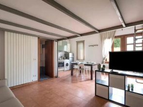 JOIVY Green Terraced House