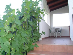 Guest House Jole