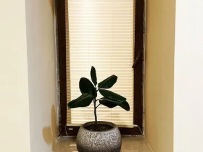 Domino Yerevan Hostel & Tours