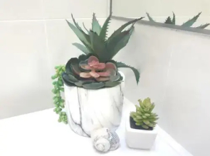 The Resort at Cronulla