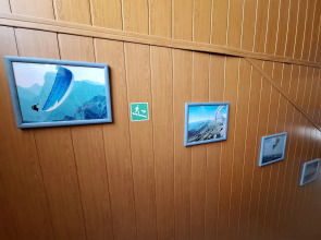 Лесная жемчужина