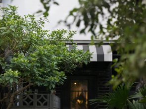 Birdeye Garden