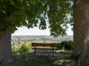Hofgut Wißberg - Das Weinberghotel