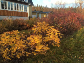 Enaforsholm Fjällgård