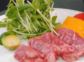 Shinmaiko Garden Hotel