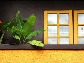 Be Beez Cafe and Guesthouse