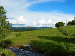 Pensiunea Agroturistica Casa Brazilor