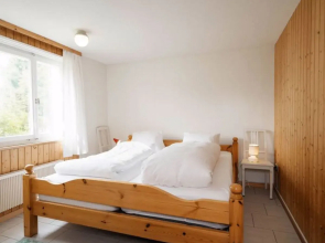 Chalet Speer