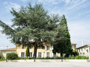 Château Haut-Brisson