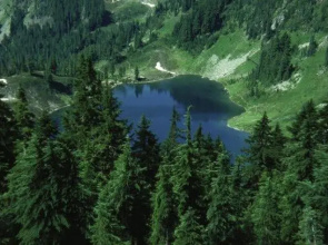 Sol Duc Hot Springs Resort