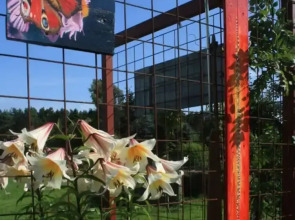 Living Lust 3 in Malchow