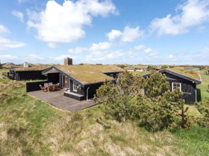 "Driss" - 500m from the sea in NW Jutland