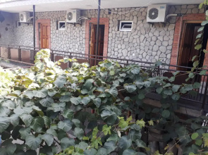 Europe Guest House
