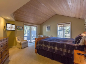 Tan Oak 29
