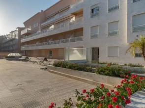 Akisol Vila Real Star II