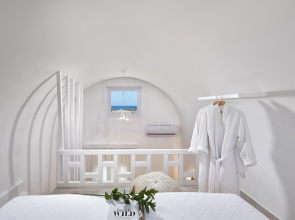 Petri Suites