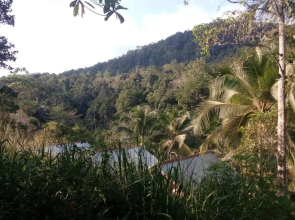 Sinharaja Rainforest View Villas