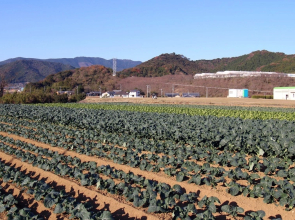Hotel Select Inn Ehime Ainan-Cho