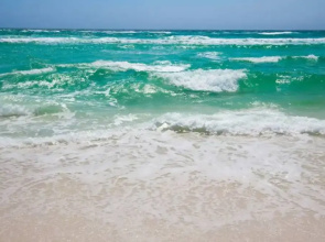 21607 Palm Ave - Palm Breeze by Blue Swell