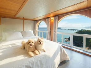 Samcheok Peacehousing Spa Pet Pension