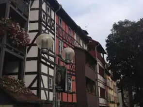 FeWo Sulzer Siedlung Erfurt