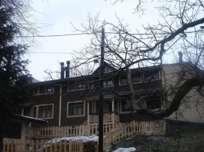 Veternik 1959