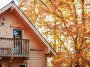 Wadano Woods Chalet