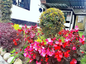 Hotel Muros Quito