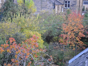 Ashdene House