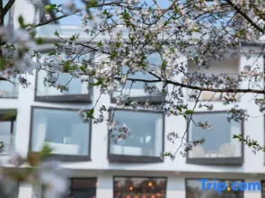 Dongmei Yueju Qiyue Yunsu Hotel