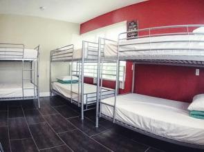 Beds n' Drinks Hostel