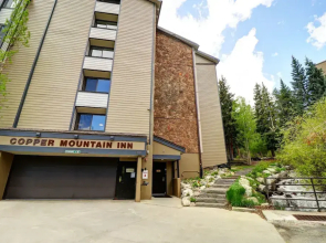 Amazing Ski-In Ski-Out Condo, Pet Friendly - Very Spacious - CM236 by RedAwning