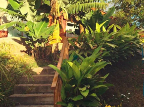 Mangai Rapa Nui - Hostel