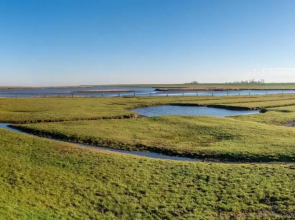 Ferienwohnung-Teekanne