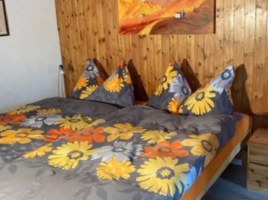 Studio Elsighorn Frutigen