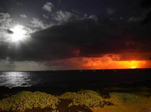 Direct Oceanfront, Big Island Home