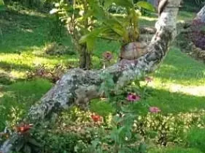 Balian Bliss Retreat Resort - Adults Only