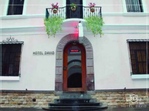 Hotel David
