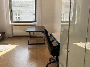 Schöne Wohnung in der Wiener Innenstadt