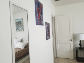 Walk in The Heart of Wynwood