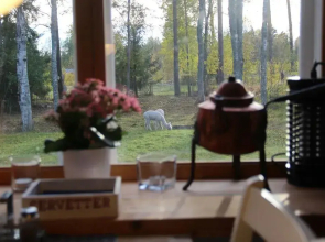 Norrängens Alpacka - Bed & Breakfast