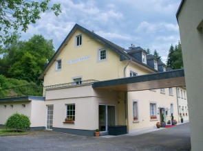 Hôtel Au Vieux Moulin