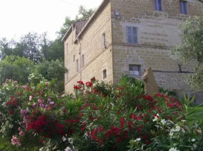 Montepolino