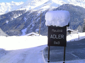 Hotel Meublé Adler